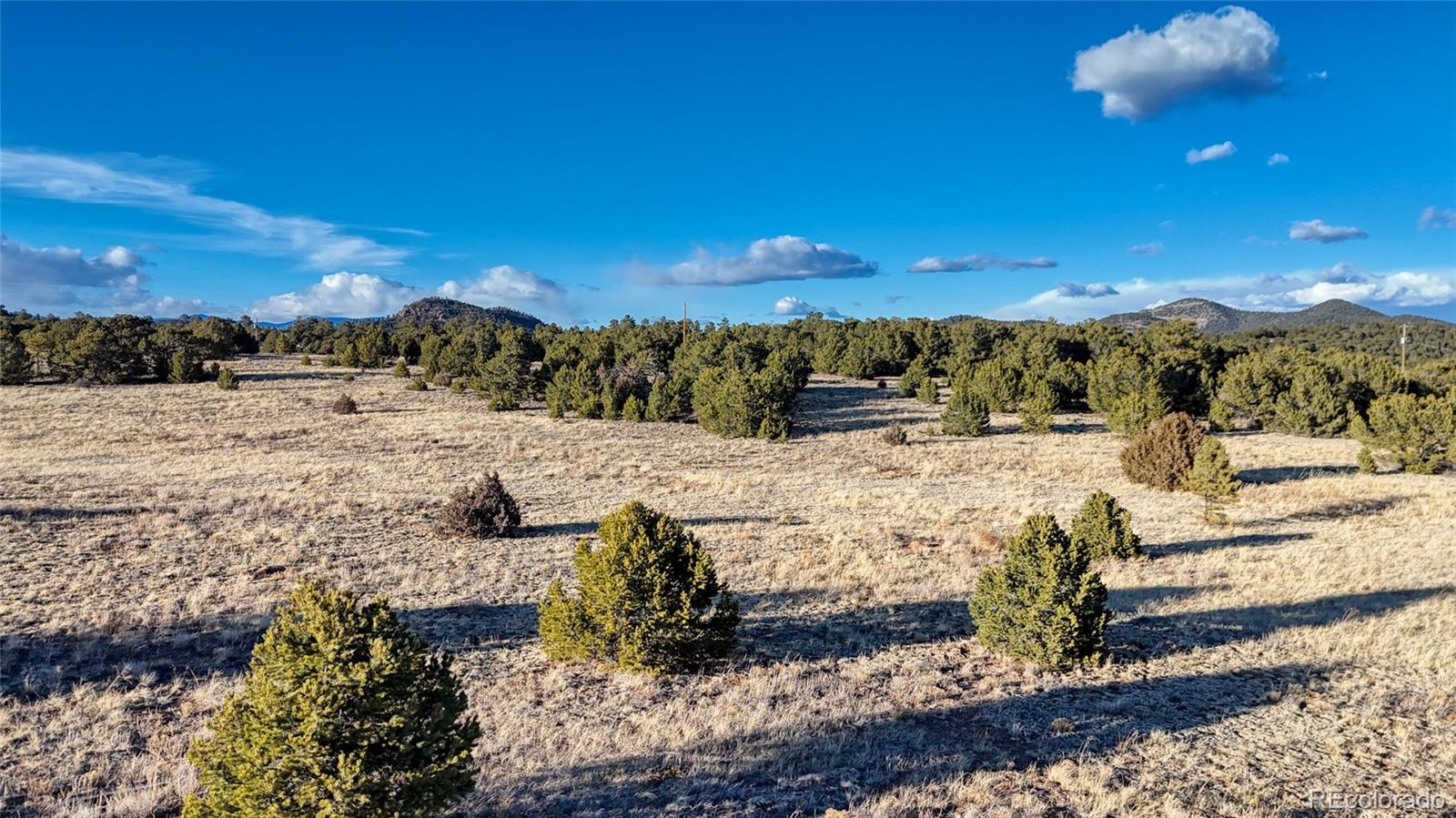 1738 12th Trail Cotopaxi CO 81223