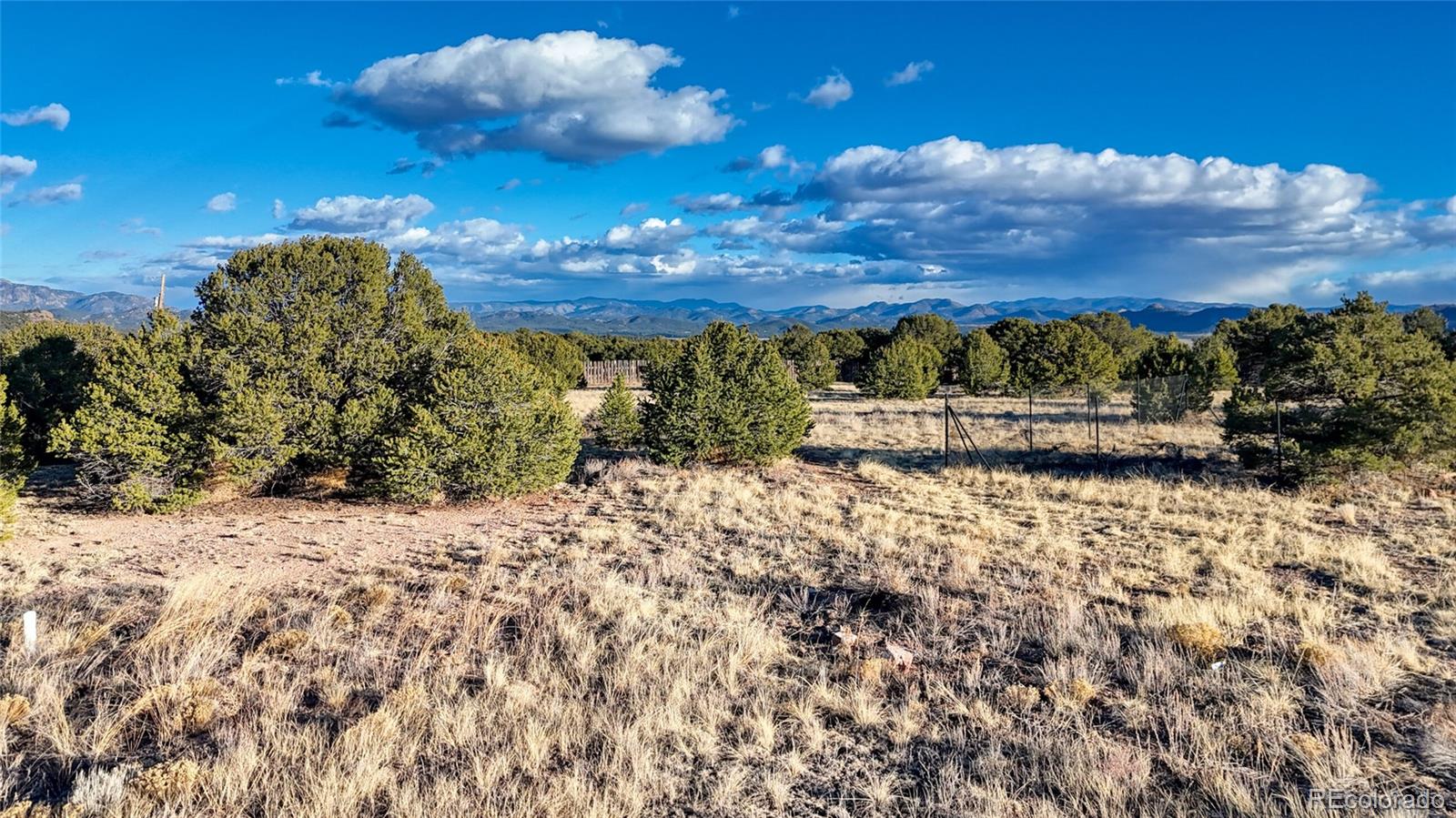 1738 12th Trail Cotopaxi CO 81223