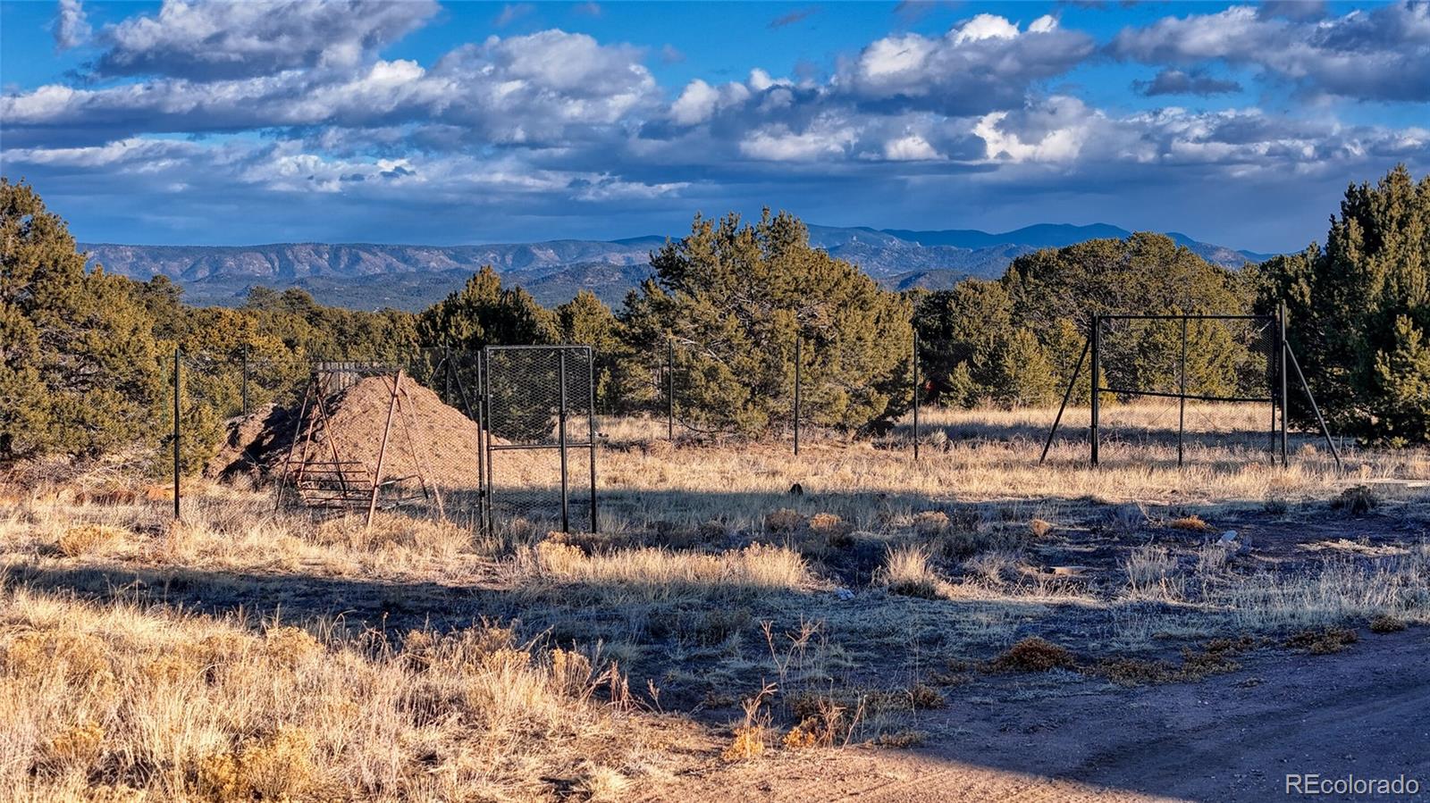 1738 12th Trail Cotopaxi CO 81223