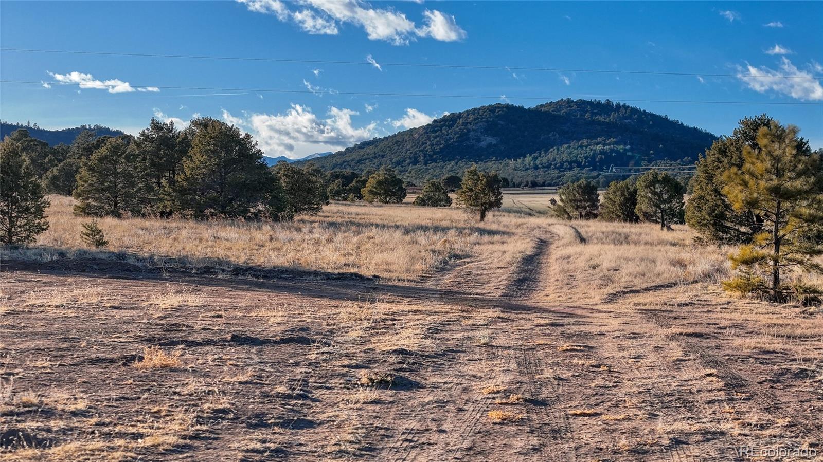 1738 12th Trail Cotopaxi CO 81223
