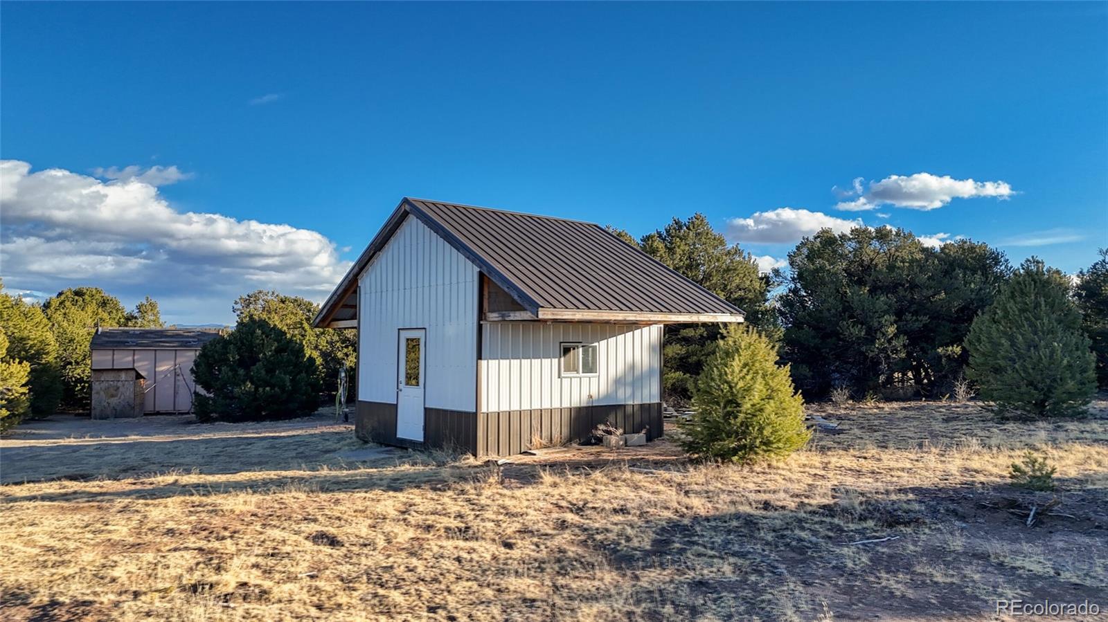1738 12th Trail Cotopaxi CO 81223
