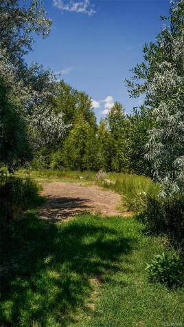 8116 Fawn Run Salida CO 81201