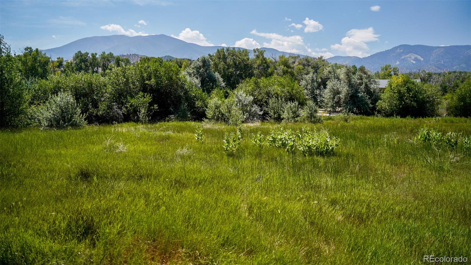 8116 Fawn Run Salida CO 81201