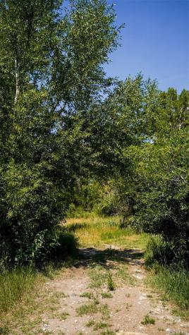 8116 Fawn Run Salida CO 81201