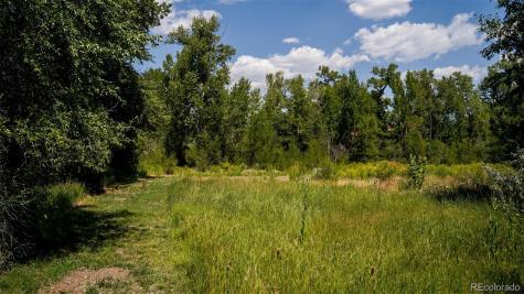 8116 Fawn Run Salida CO 81201