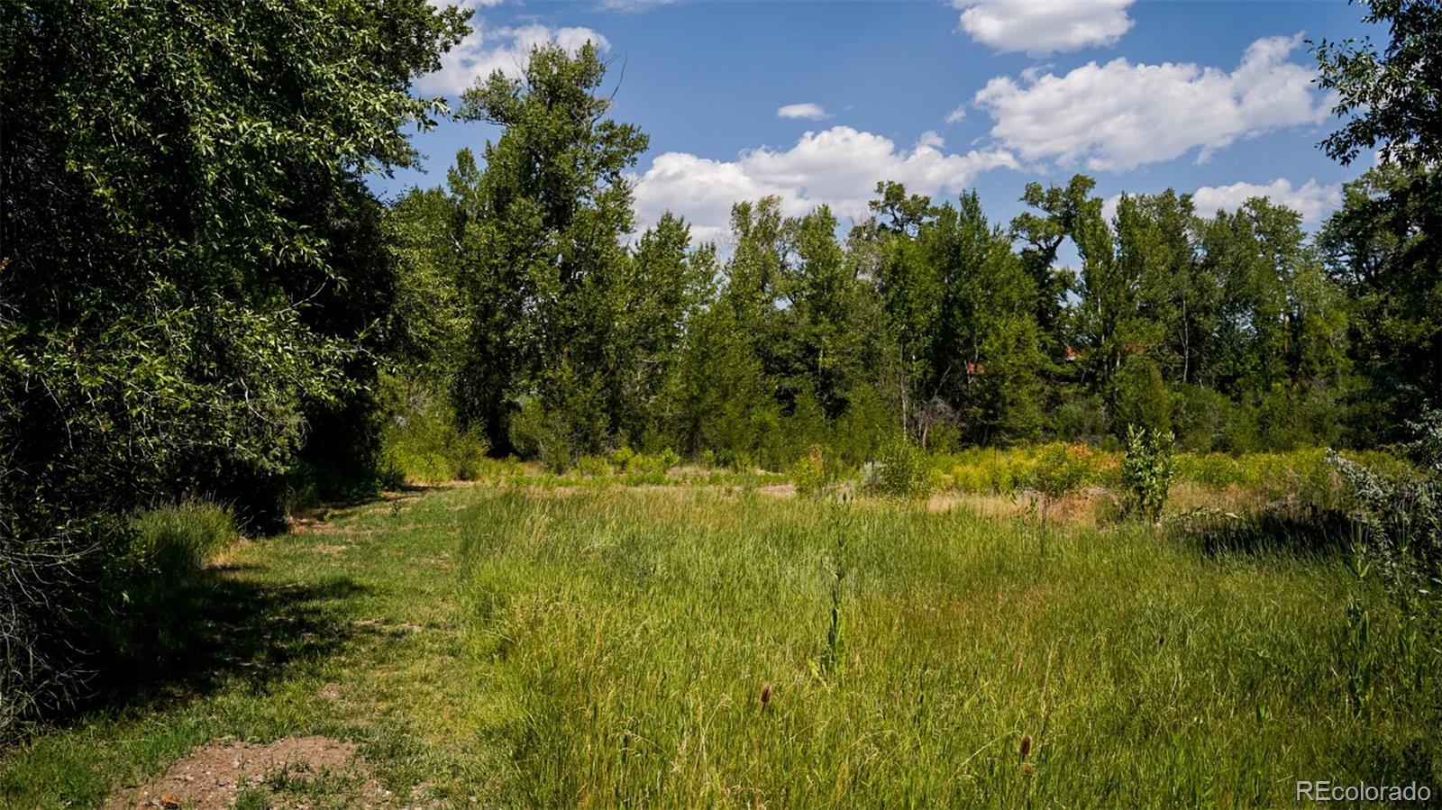 8116 Fawn Run Salida CO 81201
