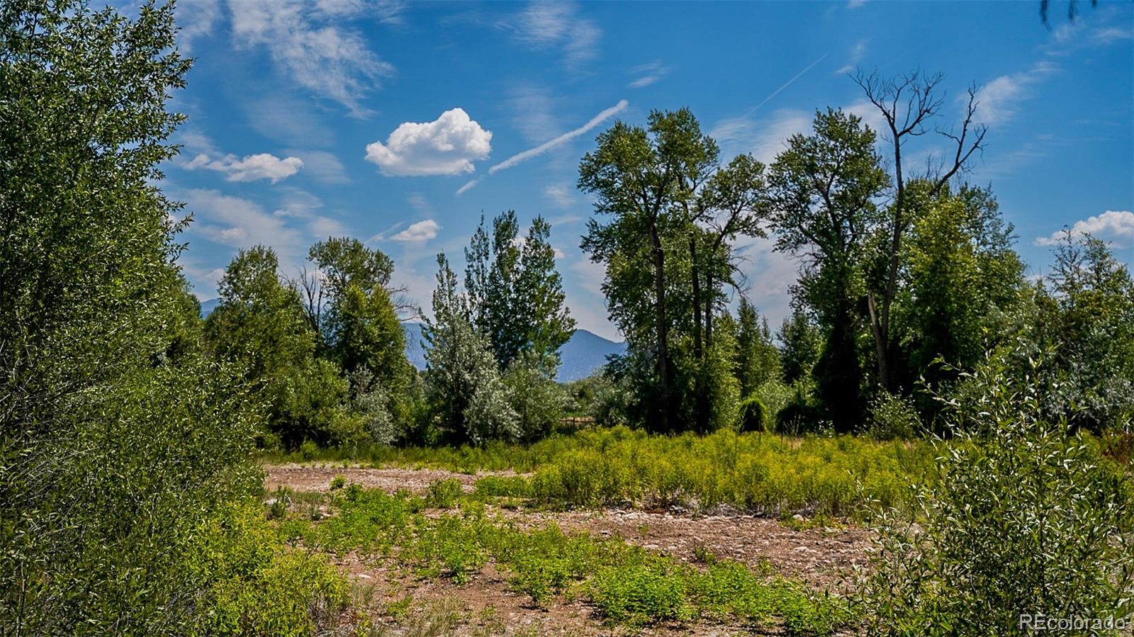 8116 Fawn Run Salida CO 81201