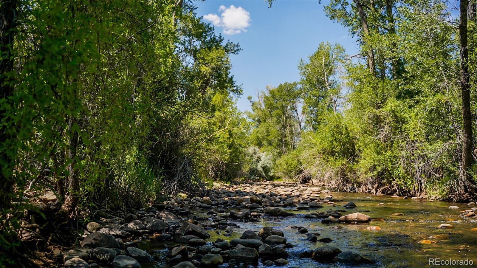 8116 Fawn Run Salida CO 81201
