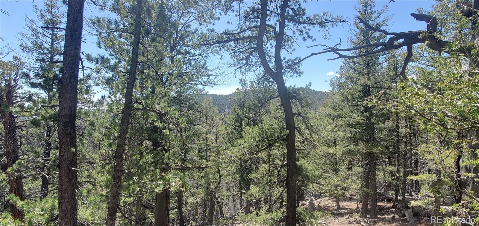 Lot 6764 Kerrigan Road Fort Garland CO 81133