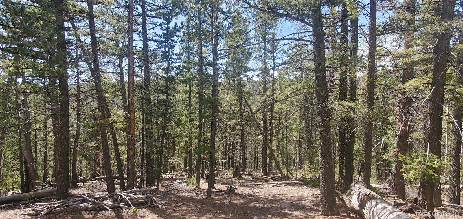 Lot 6764 Kerrigan Road Fort Garland CO 81133
