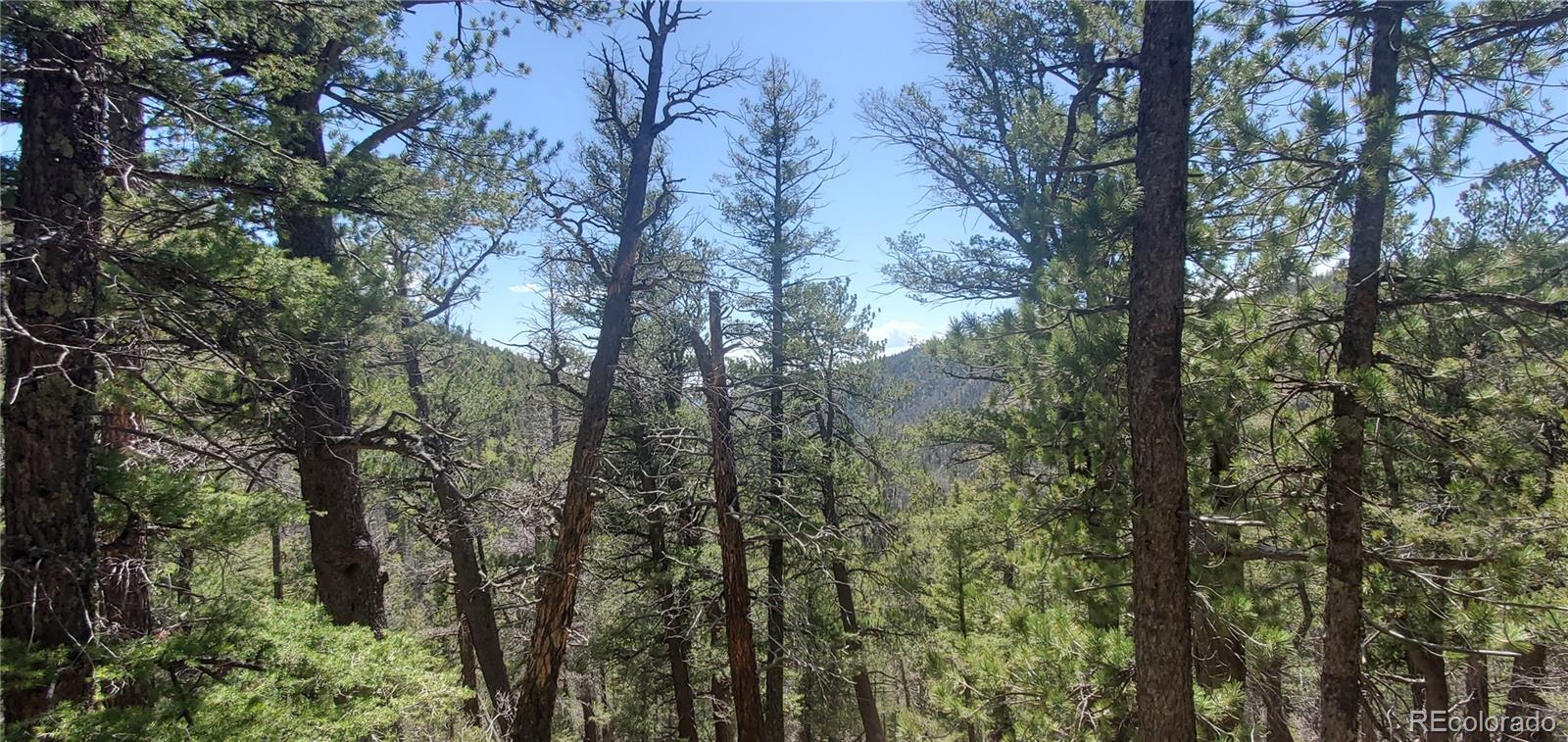 Lot 6764 Kerrigan Road Fort Garland CO 81133