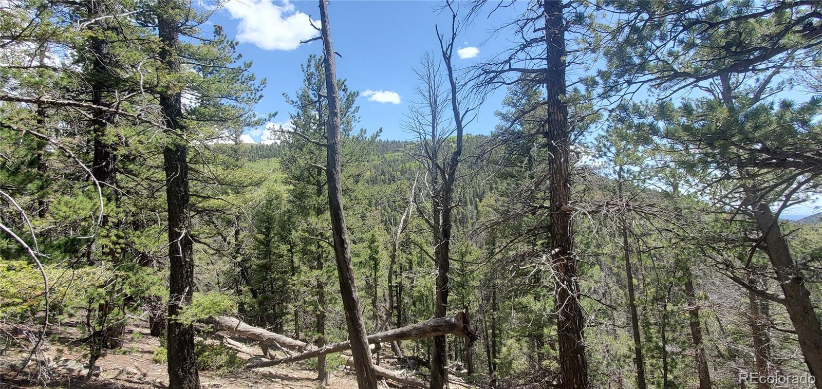 Lot 6764 Kerrigan Road Fort Garland CO 81133