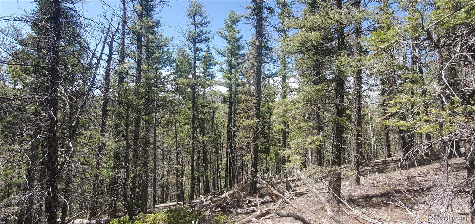 Lot 6764 Kerrigan Road Fort Garland CO 81133