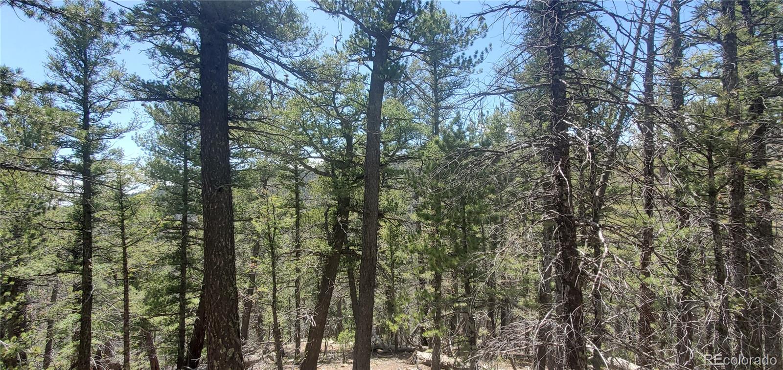 Lot 6764 Kerrigan Road Fort Garland CO 81133