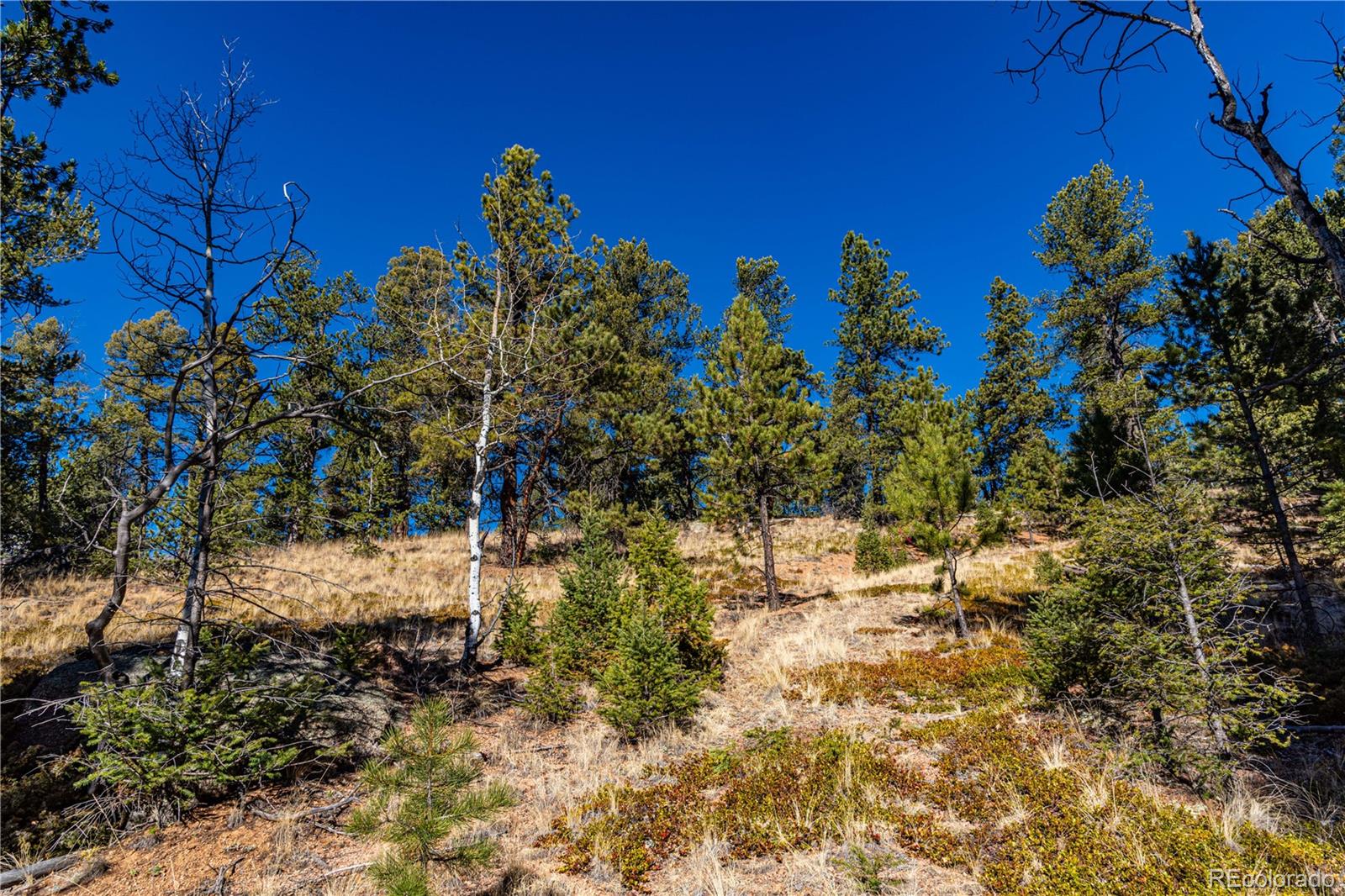 0 Arrowhead Road Florissant CO 80816