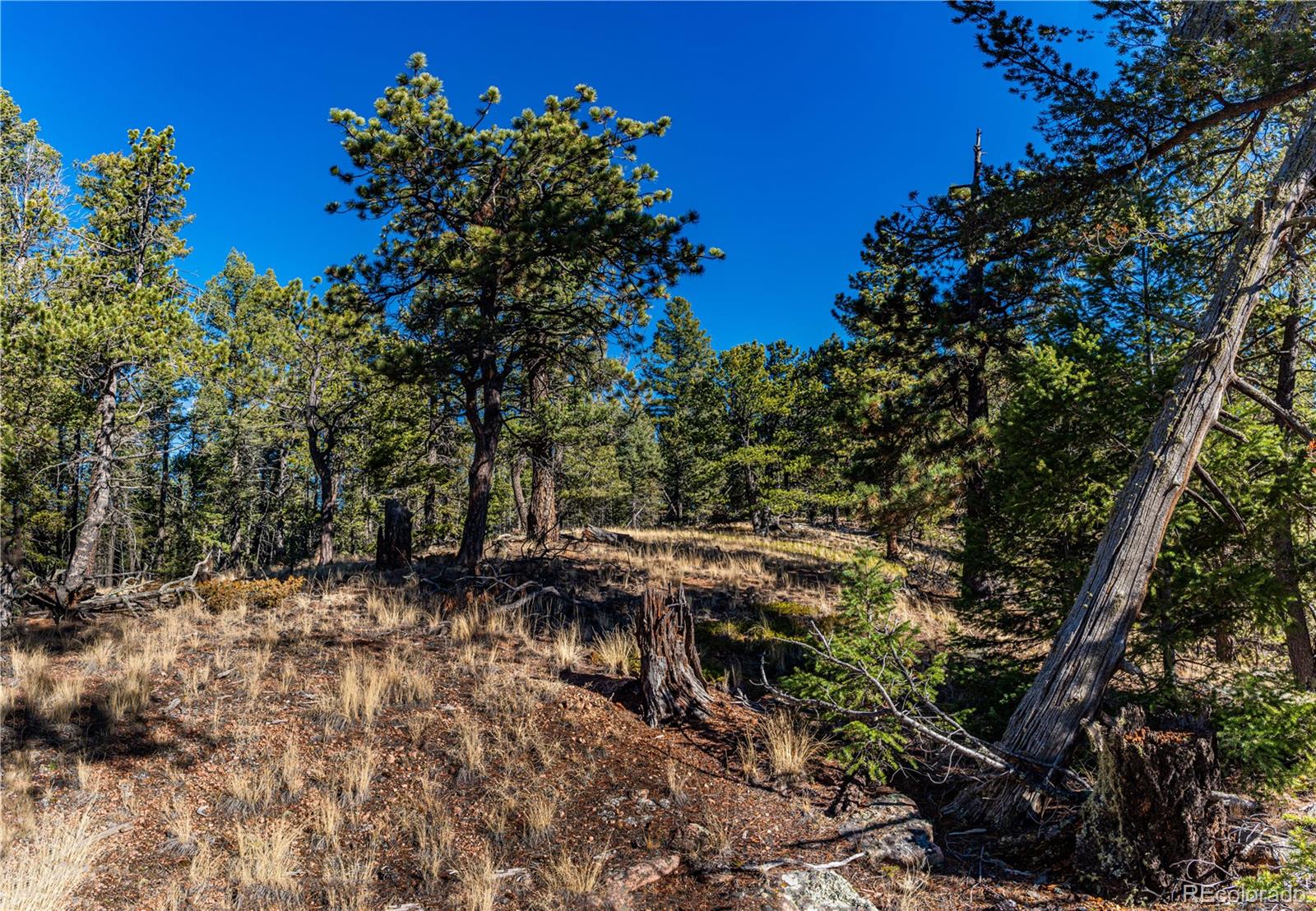 0 Arrowhead Road Florissant CO 80816