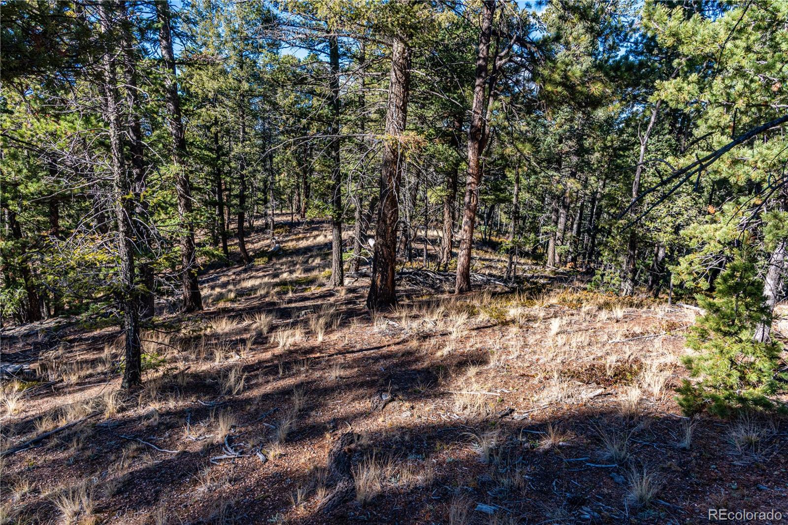 0 Arrowhead Road Florissant CO 80816