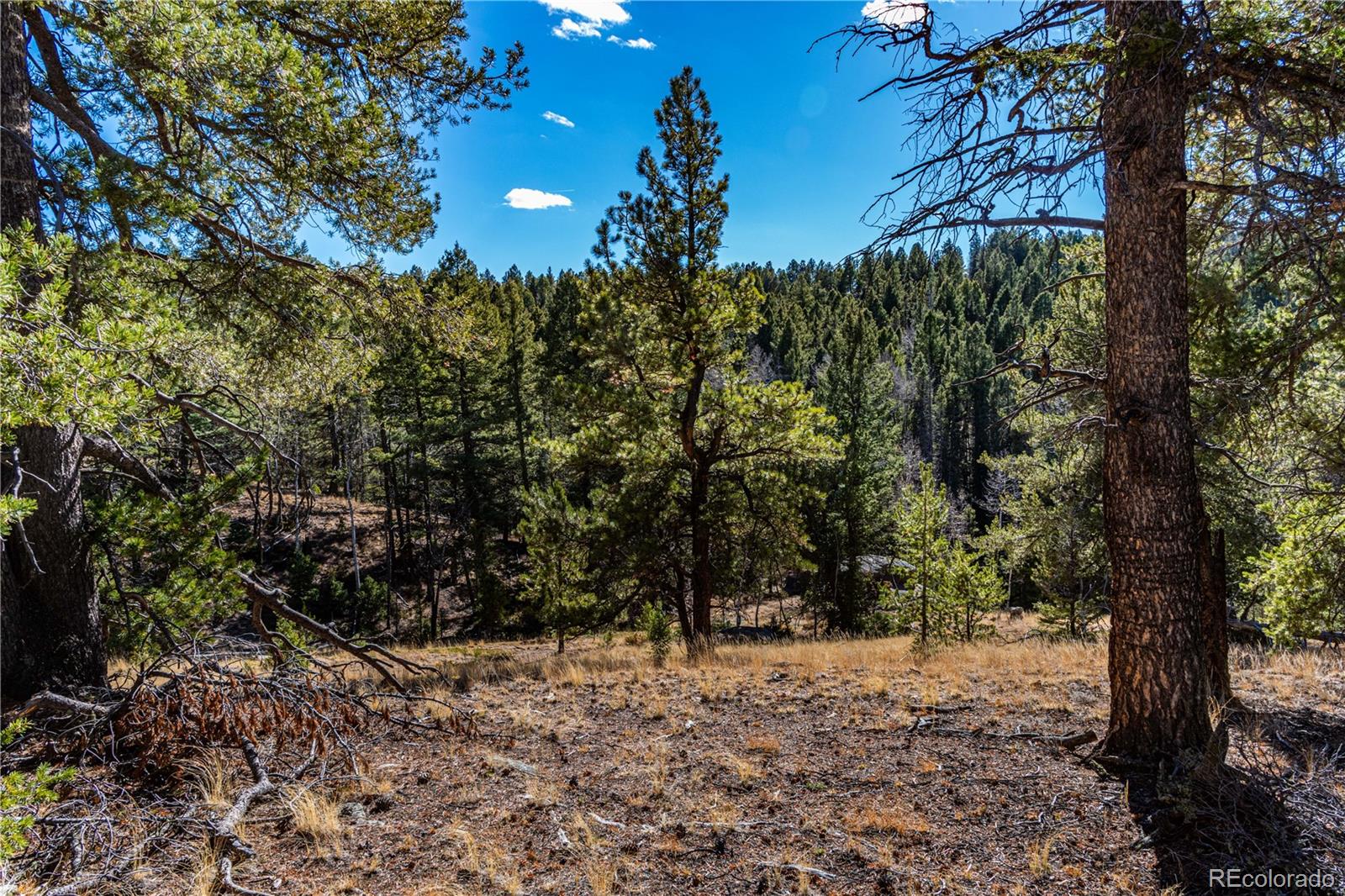 0 Arrowhead Road Florissant CO 80816