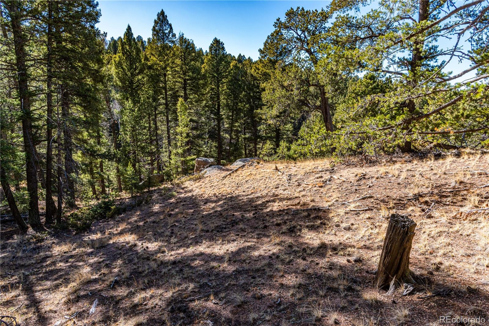 0 Arrowhead Road Florissant CO 80816