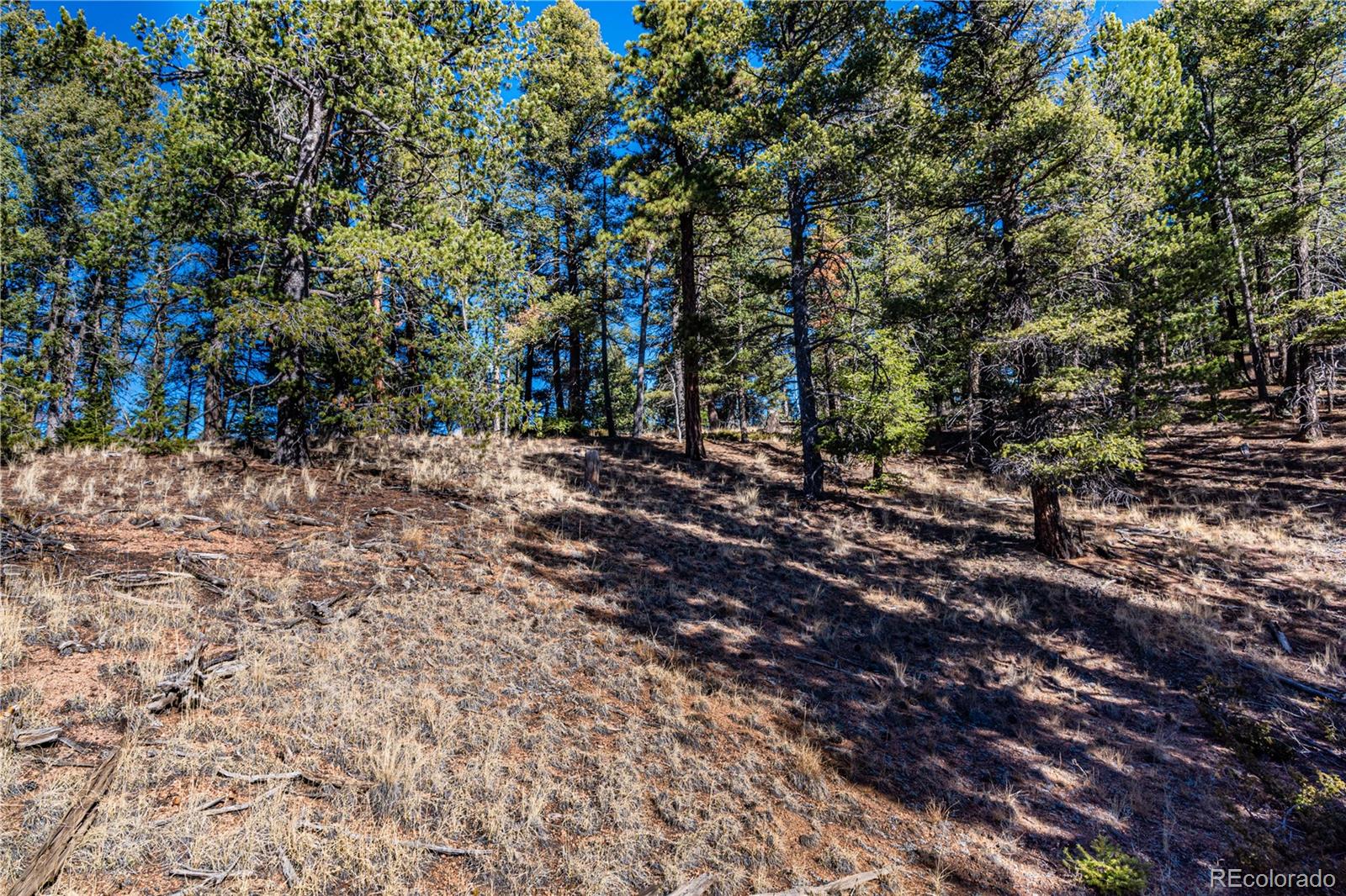 0 Arrowhead Road Florissant CO 80816