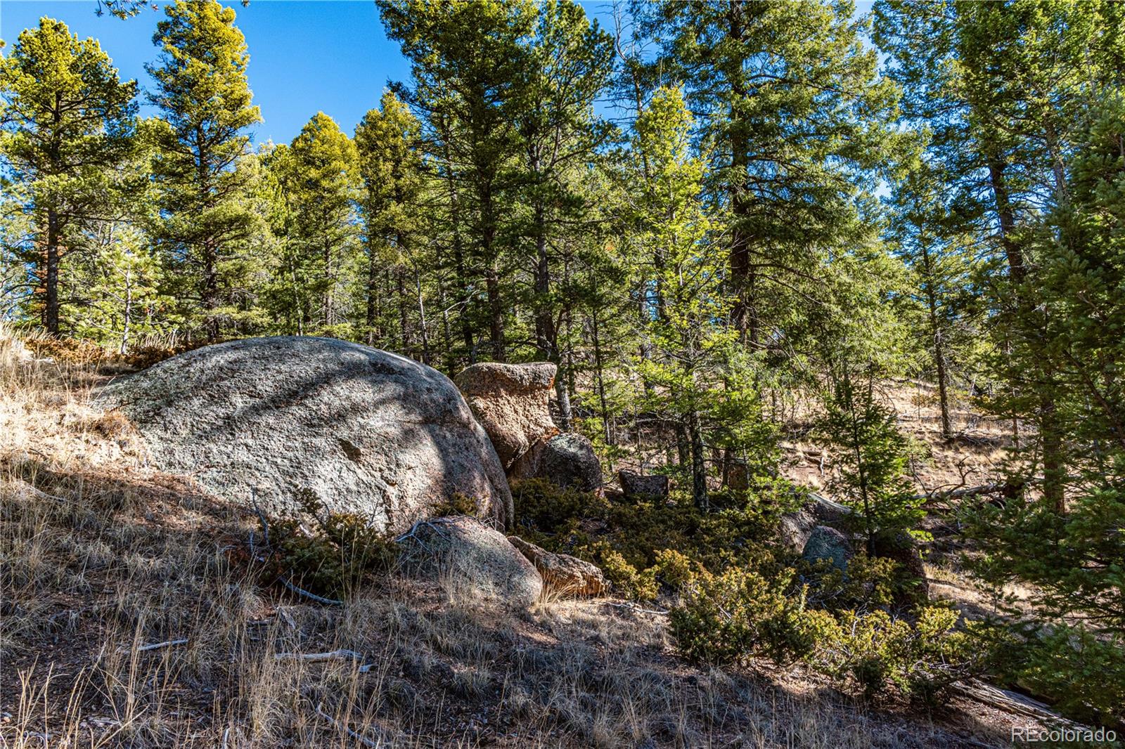 0 Arrowhead Road Florissant CO 80816