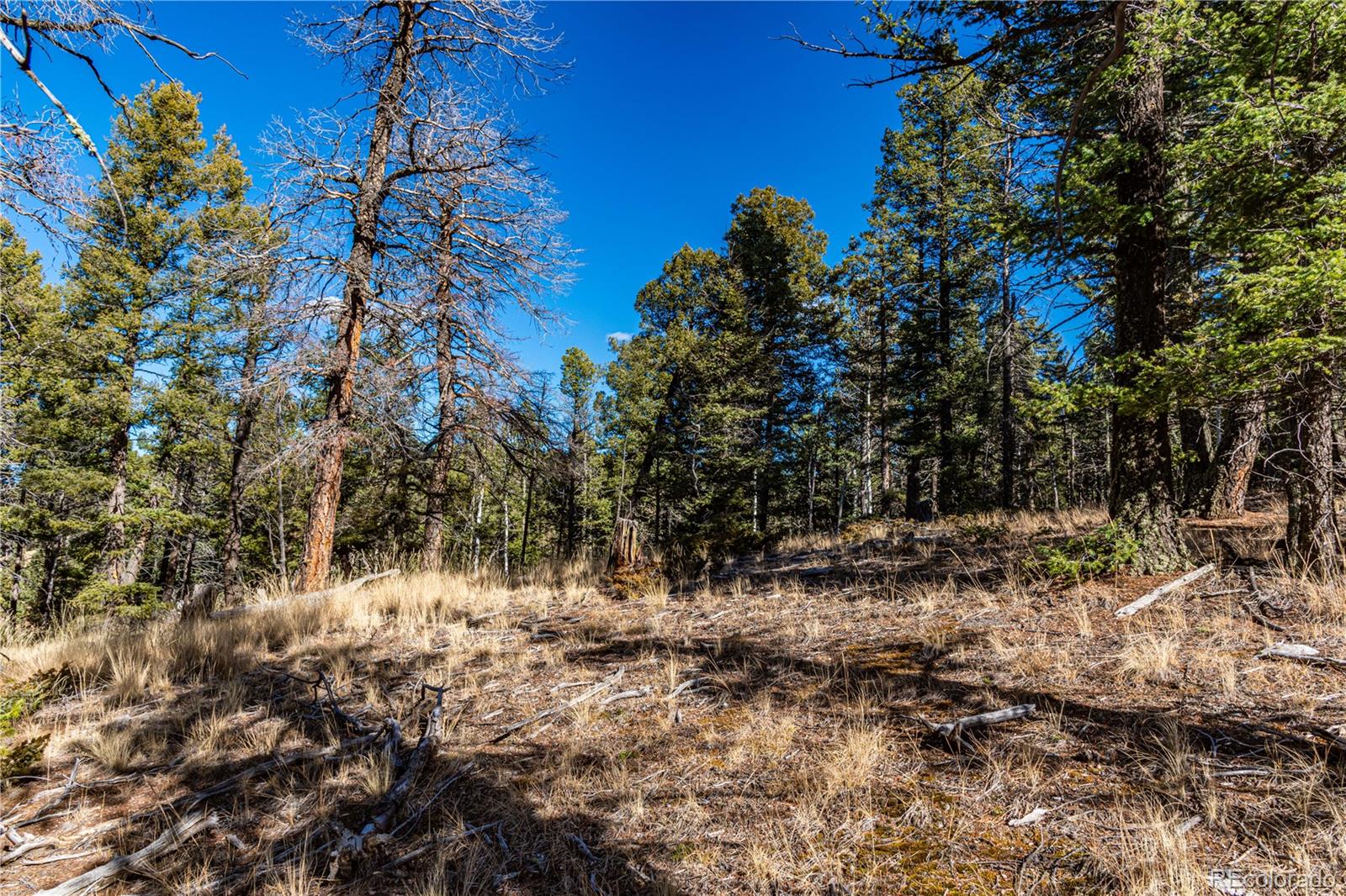 0 Arrowhead Road Florissant CO 80816