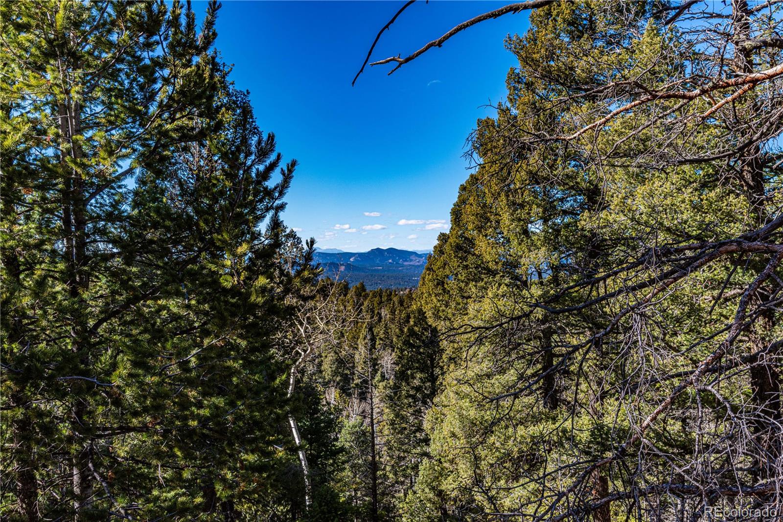0 Arrowhead Road Florissant CO 80816