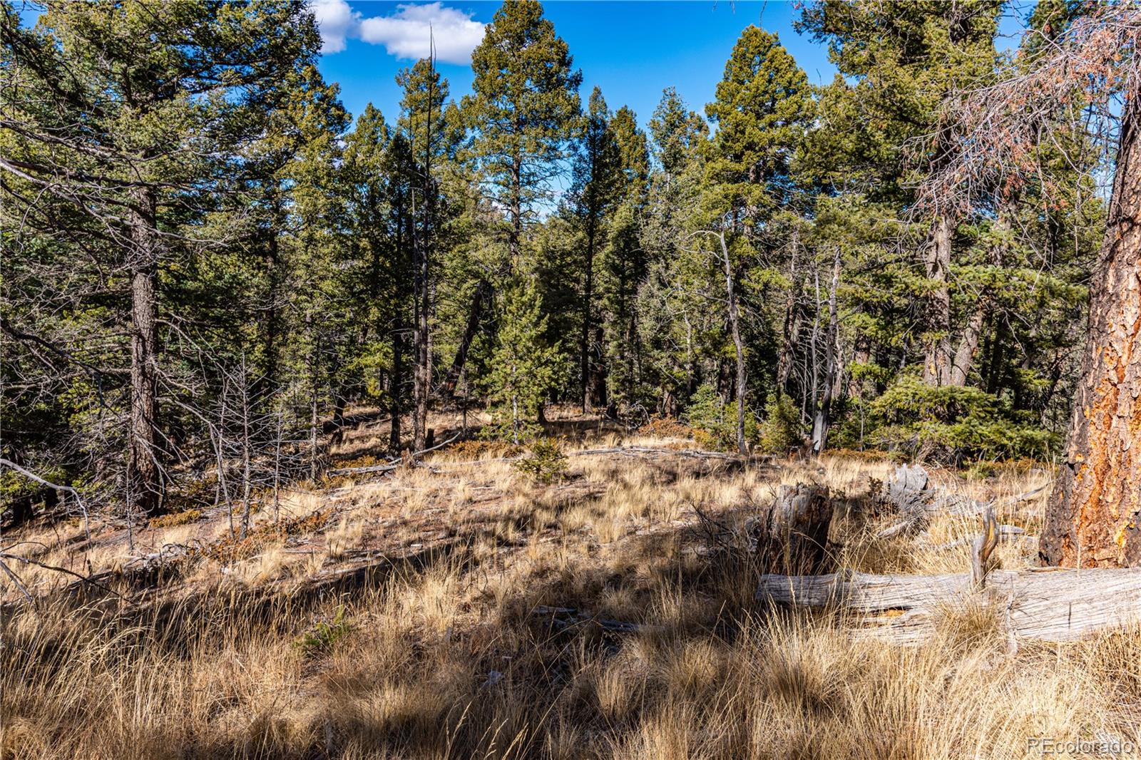 0 Arrowhead Road Florissant CO 80816