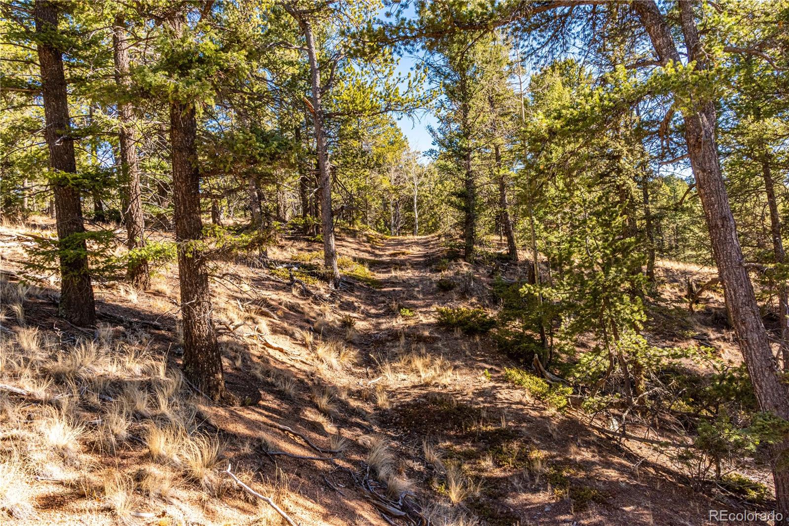0 Arrowhead Road Florissant CO 80816
