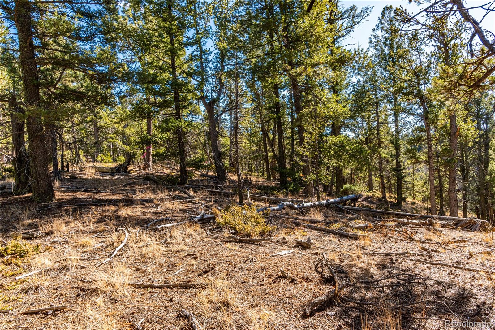 0 Arrowhead Road Florissant CO 80816