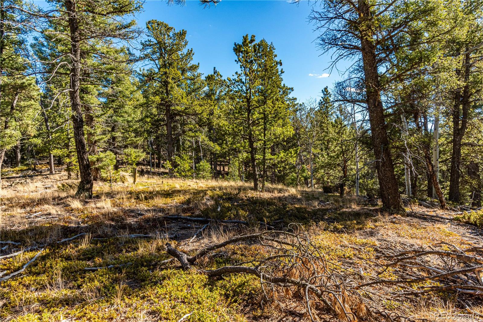 0 Arrowhead Road Florissant CO 80816