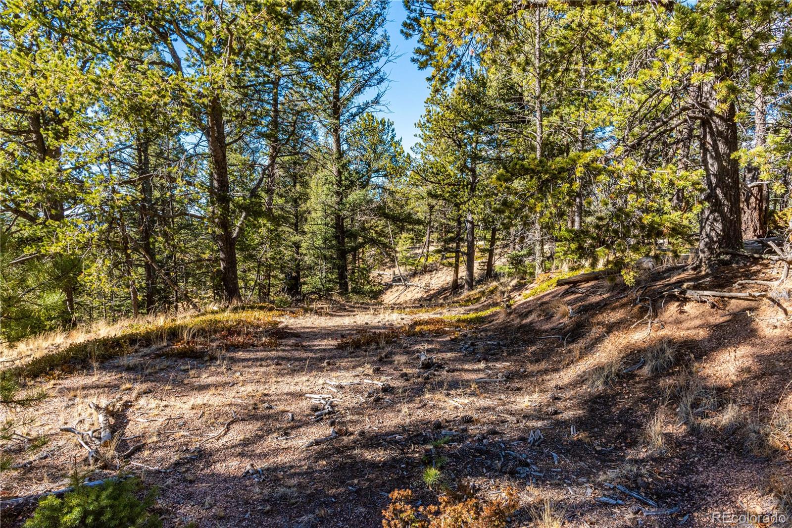 0 Arrowhead Road Florissant CO 80816