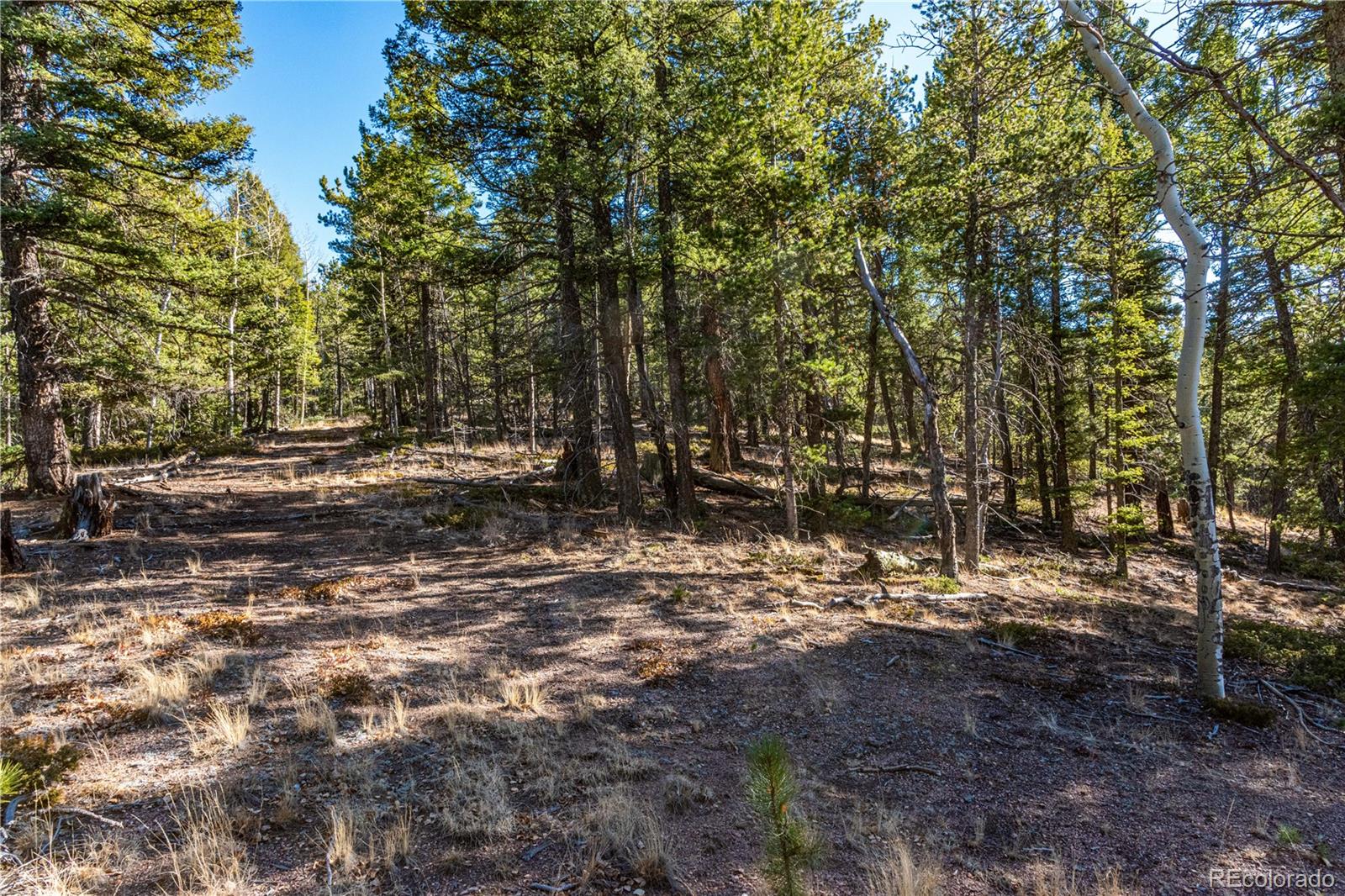 0 Arrowhead Road Florissant CO 80816