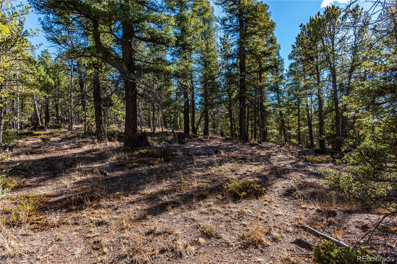 0 Arrowhead Road Florissant CO 80816