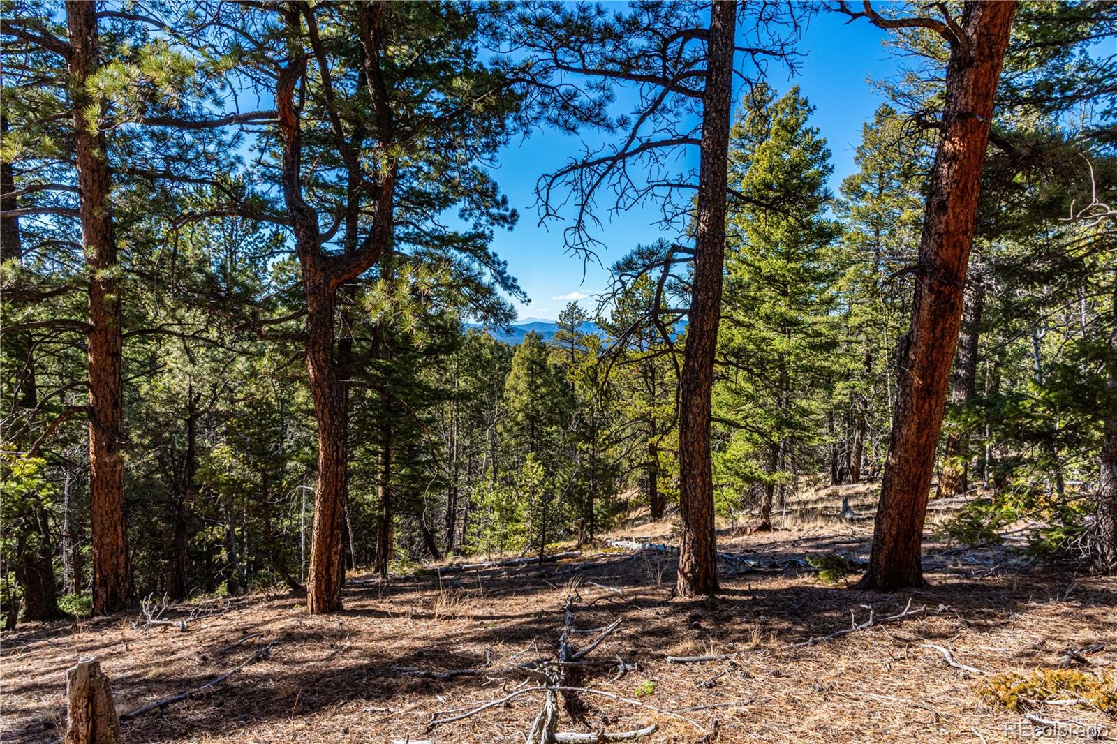 0 Arrowhead Road Florissant CO 80816
