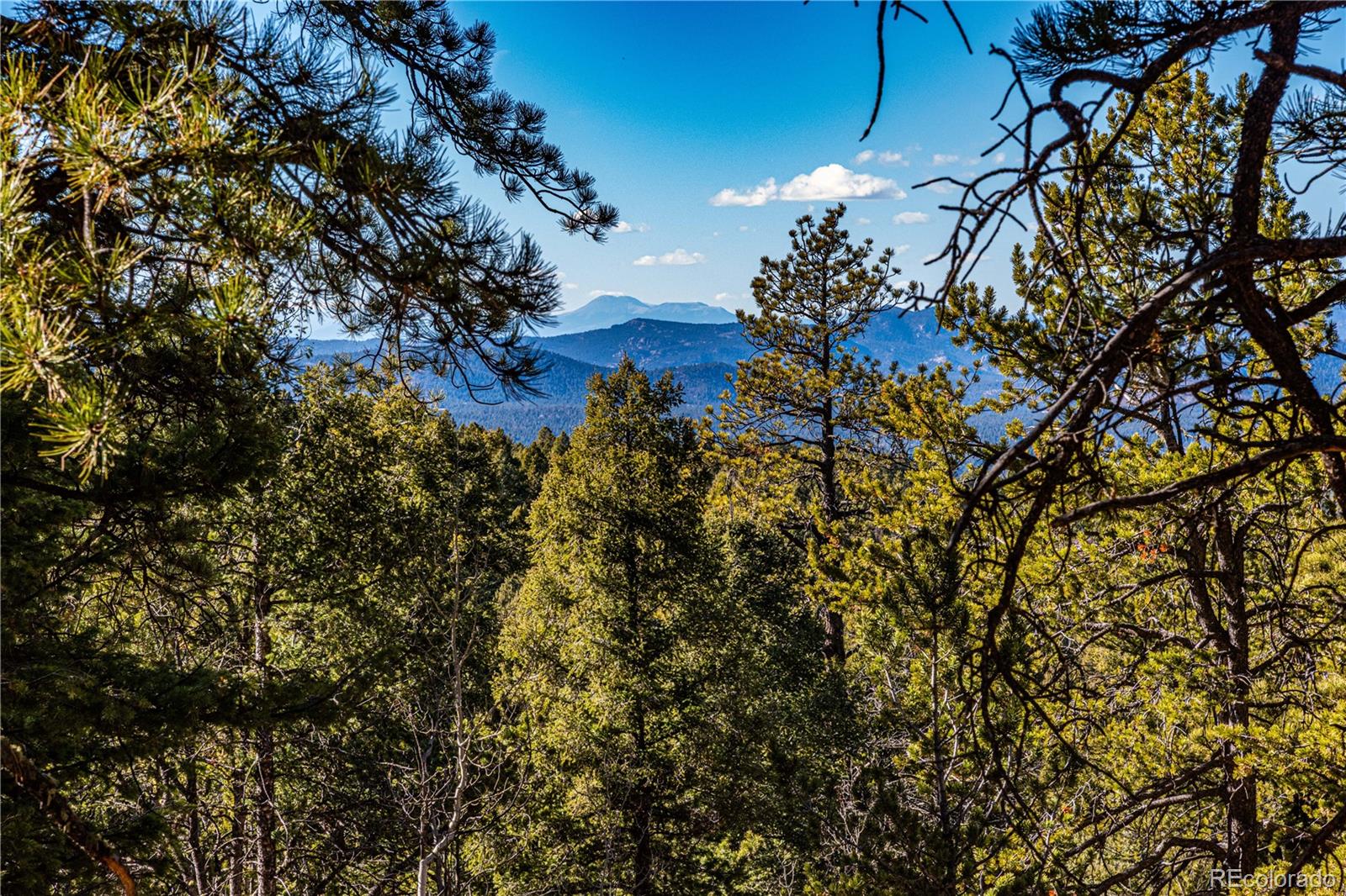 0 Arrowhead Road Florissant CO 80816