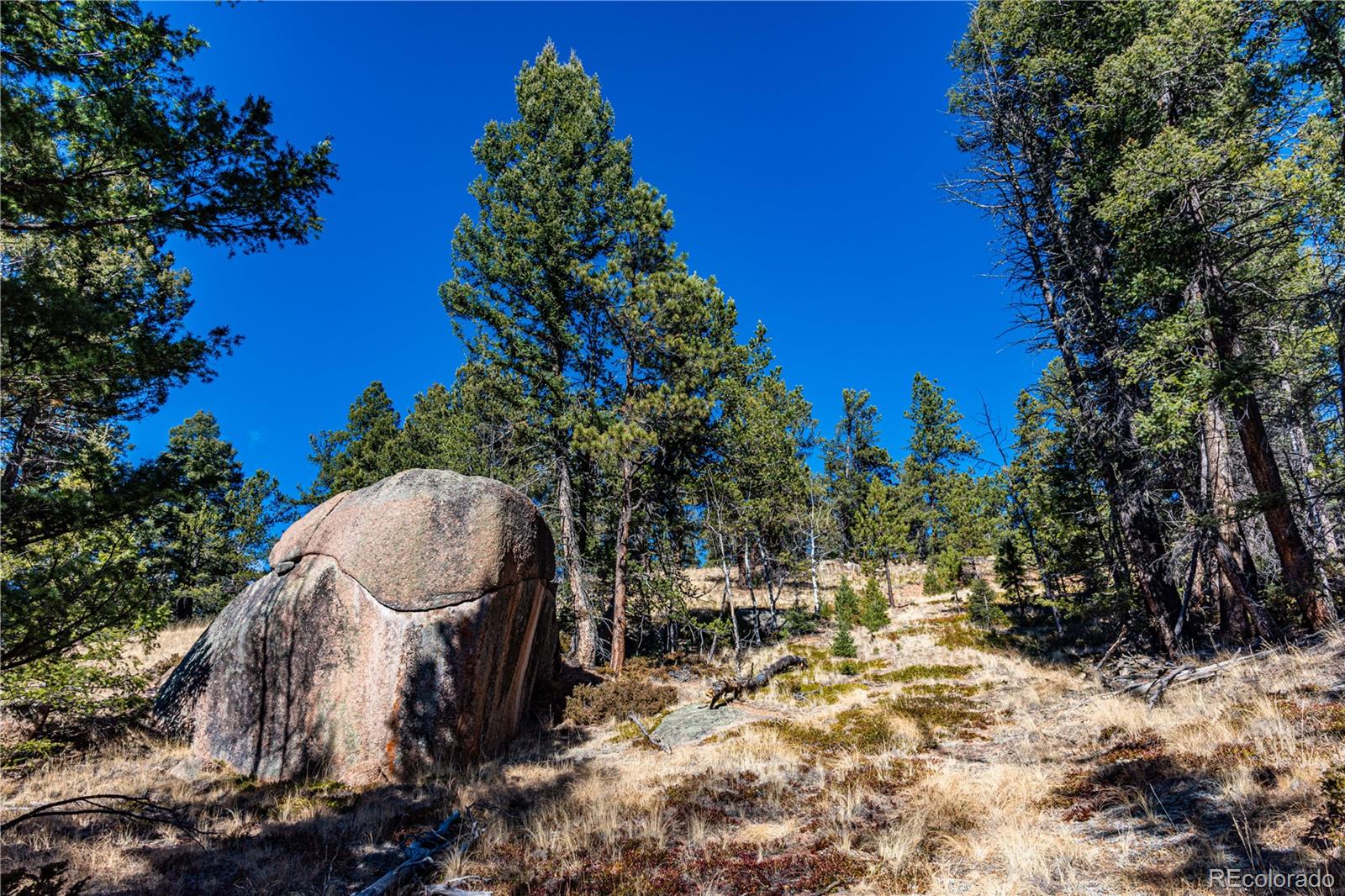 0 Arrowhead Road Florissant CO 80816