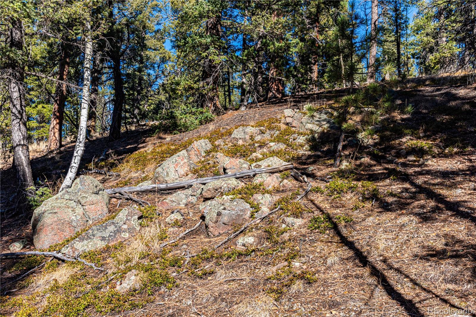 0 Arrowhead Road Florissant CO 80816