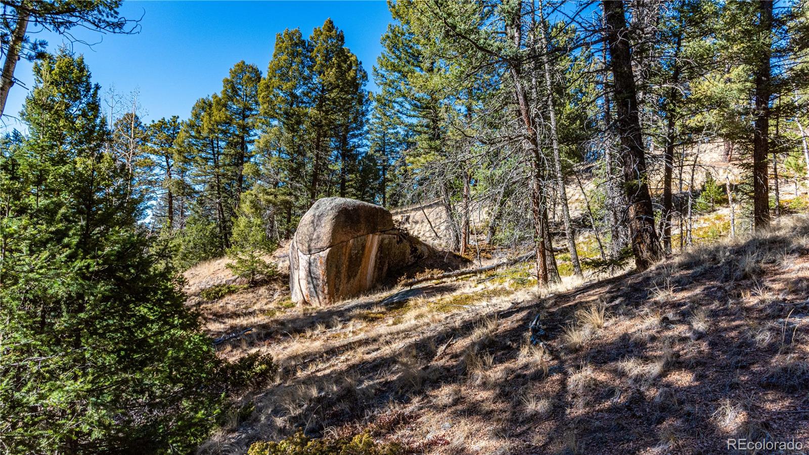 0 Arrowhead Road Florissant CO 80816