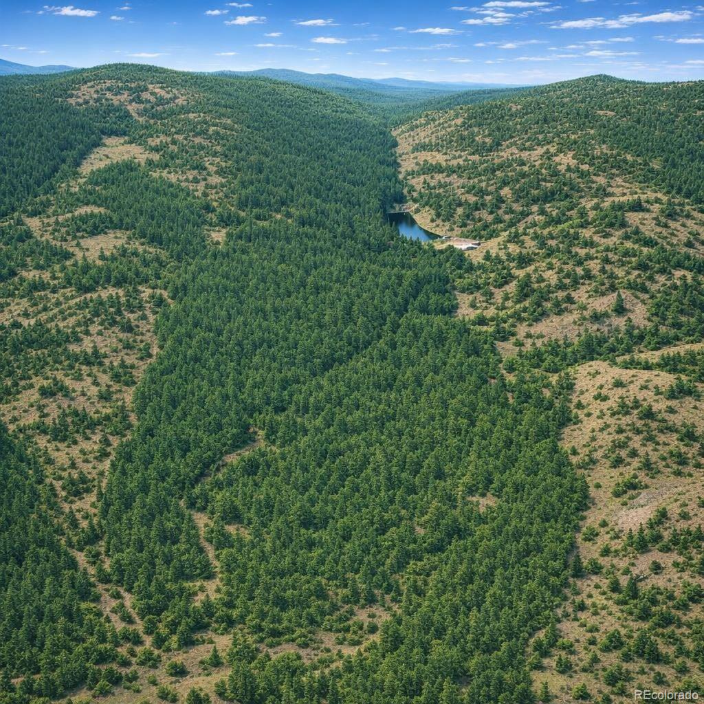 0 Arrowhead Road Florissant CO 80816