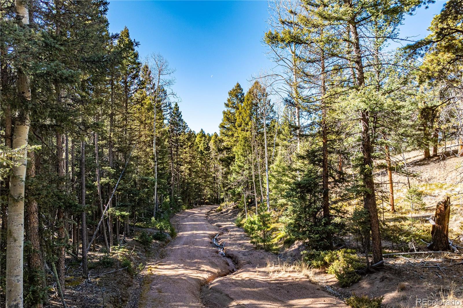 0 Arrowhead Road Florissant CO 80816