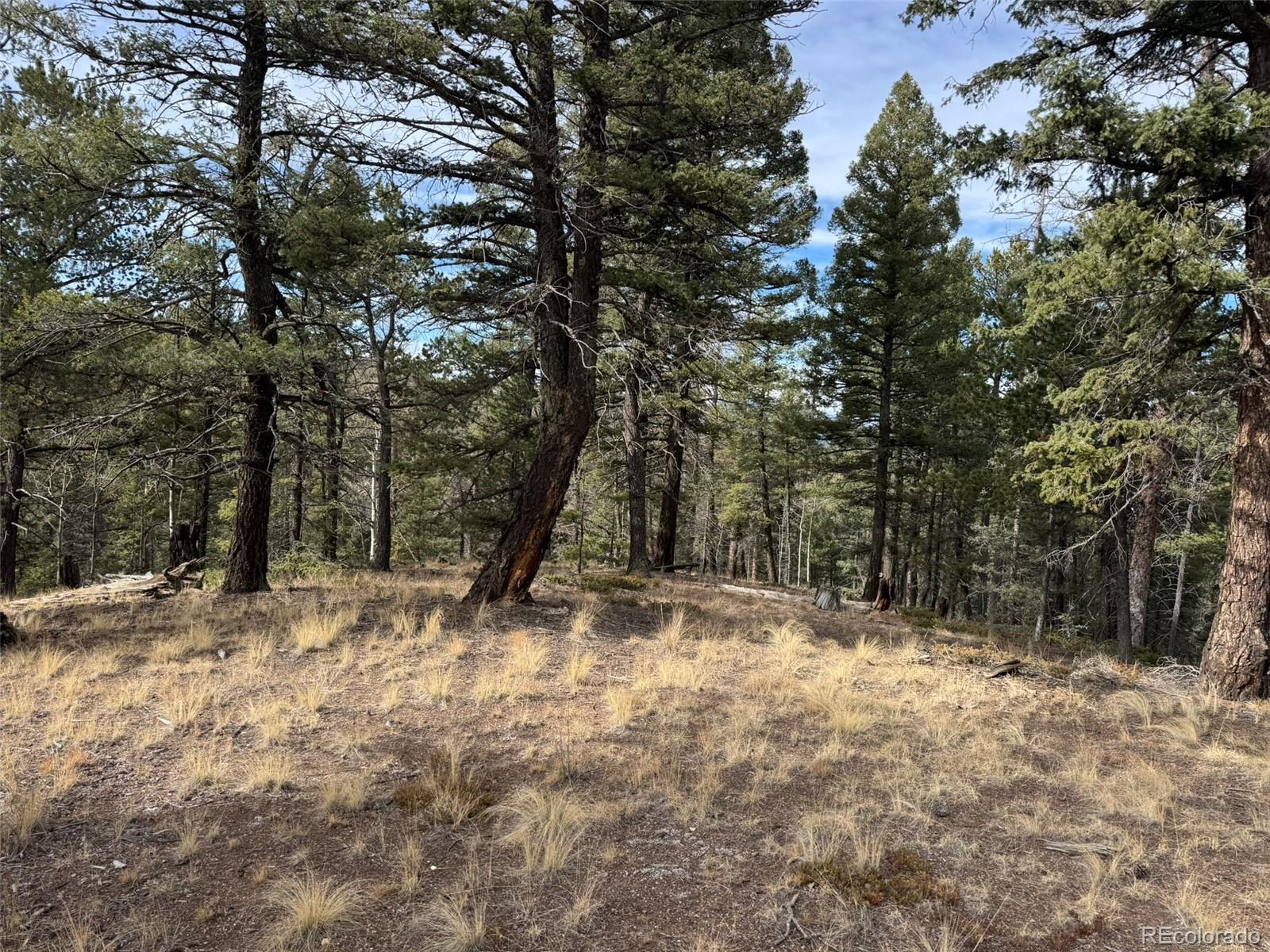 0 Arrowhead Road Florissant CO 80816