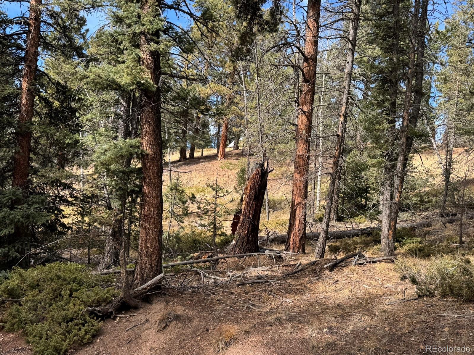 0 Arrowhead Road Florissant CO 80816