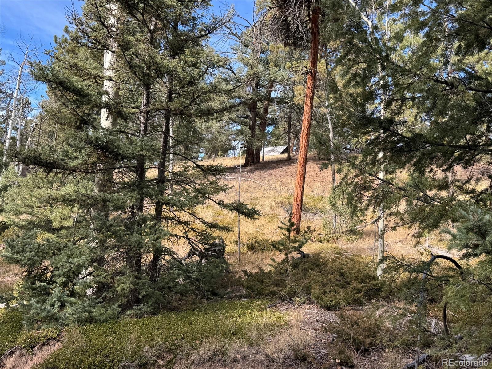0 Arrowhead Road Florissant CO 80816