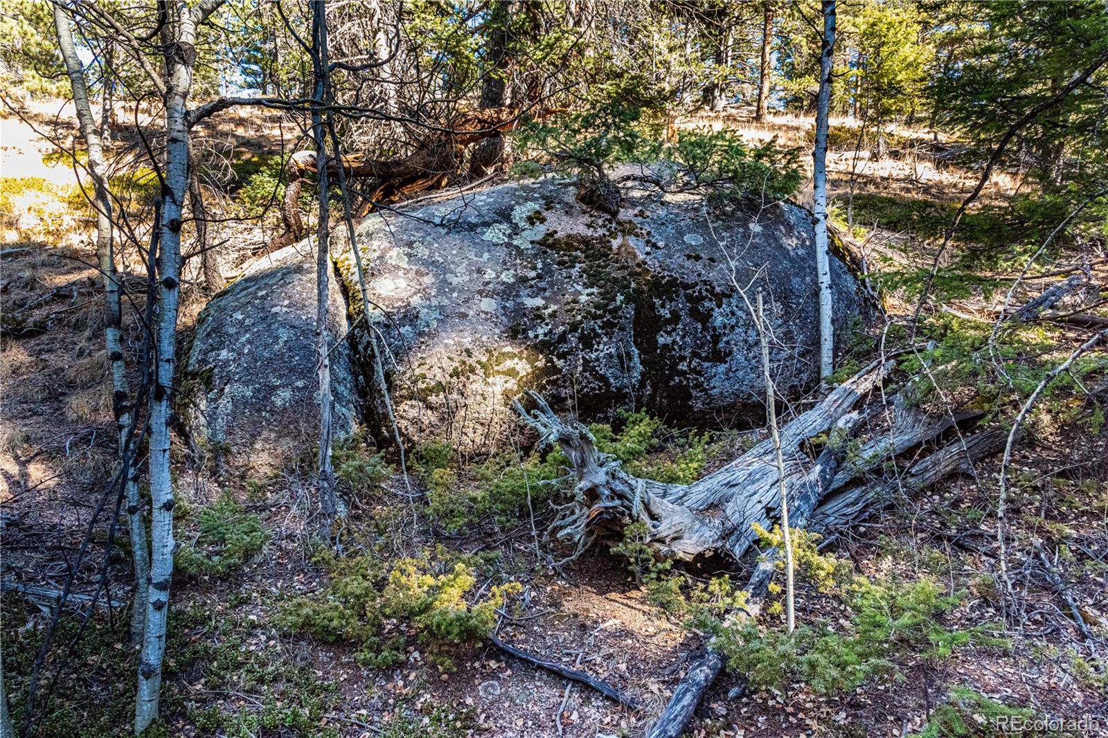 0 Arrowhead Road Florissant CO 80816