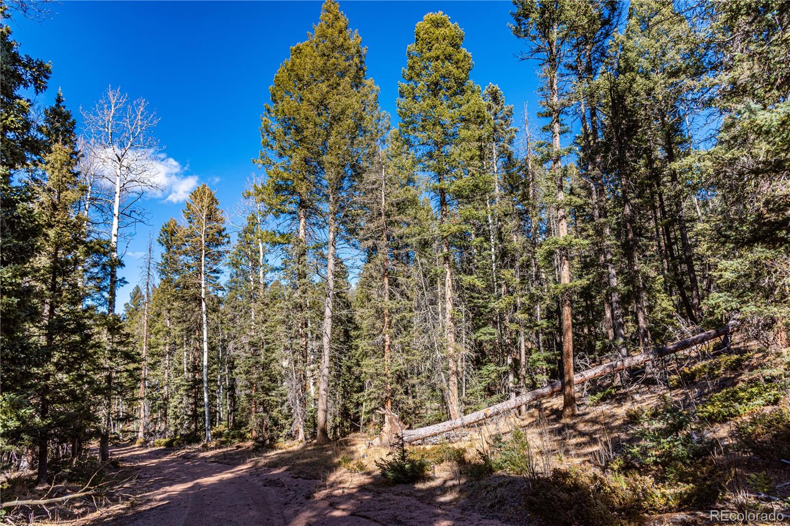 0 Arrowhead Road Florissant CO 80816