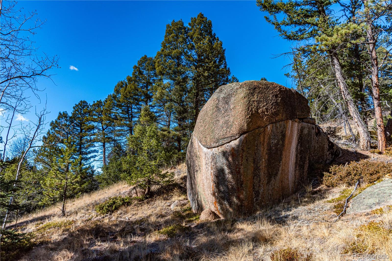 0 Arrowhead Road Florissant CO 80816