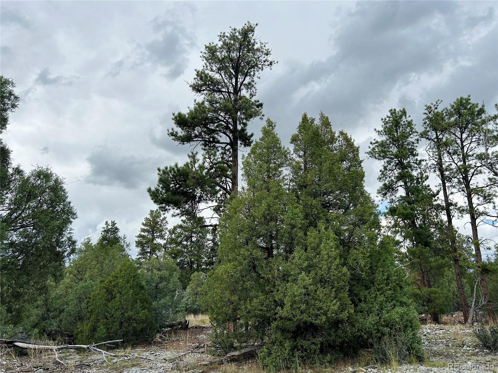 Pawnee Place Mosca CO 81146