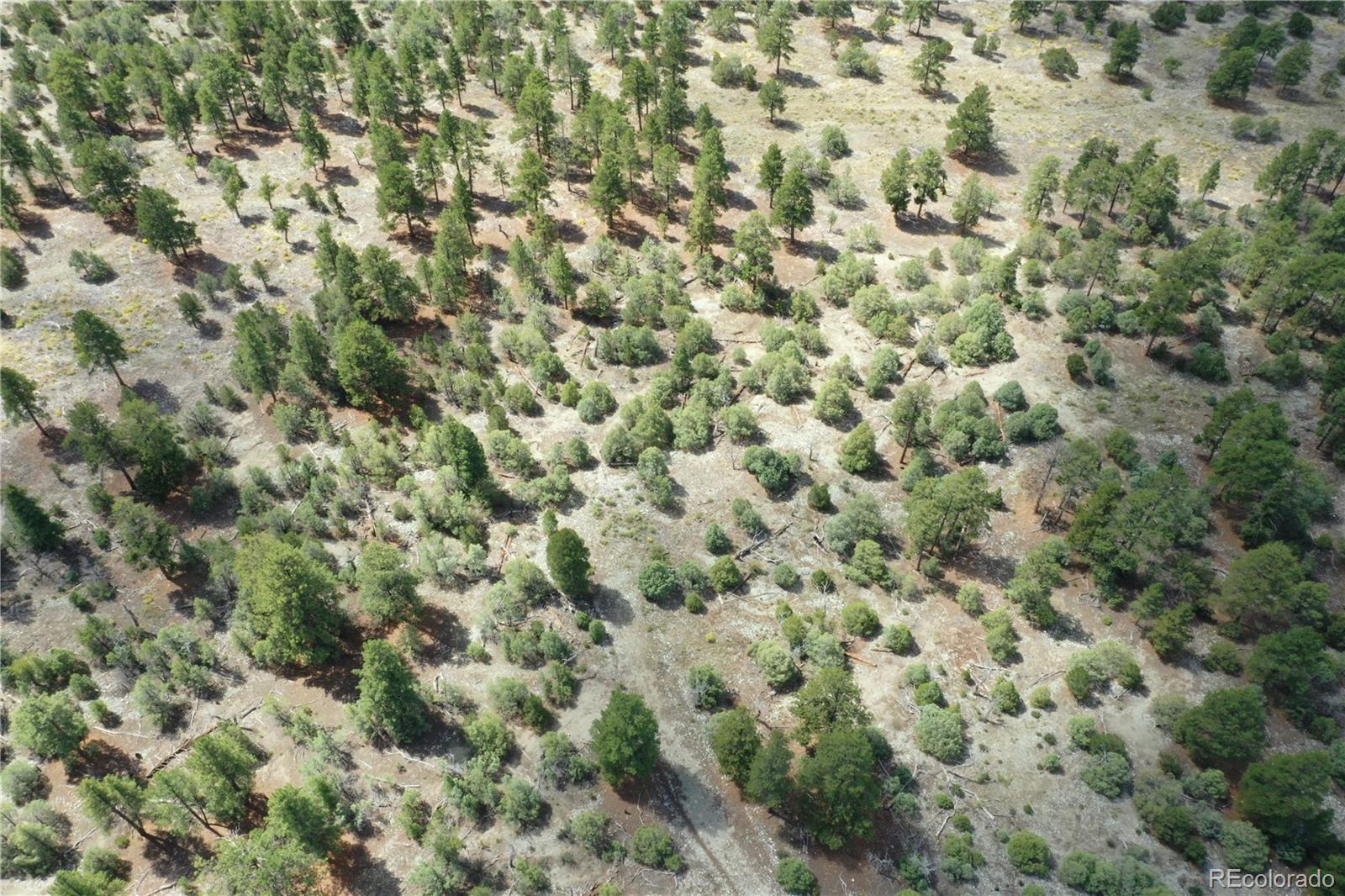 Pawnee Place Mosca CO 81146