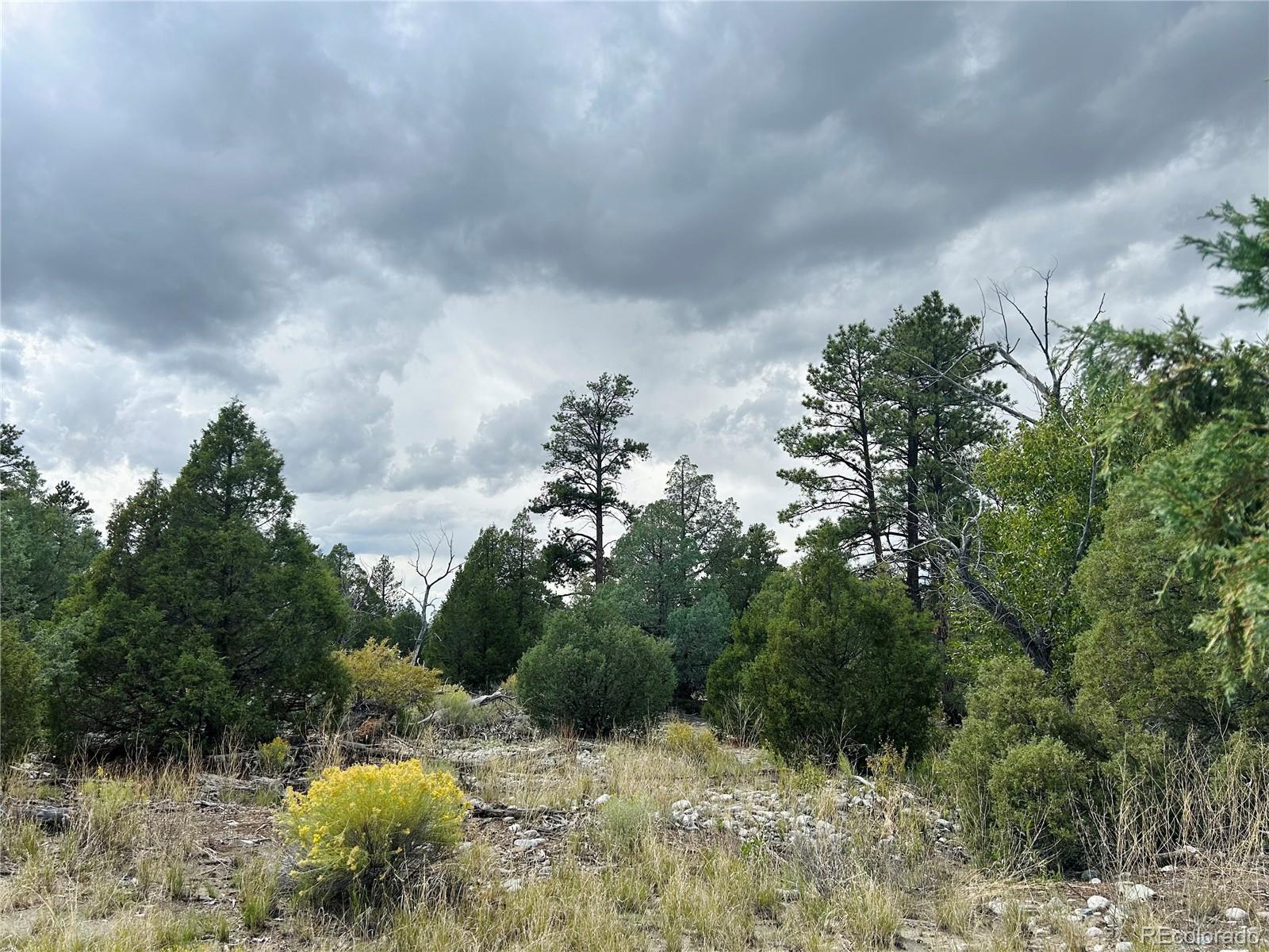 Pawnee Place Mosca CO 81146